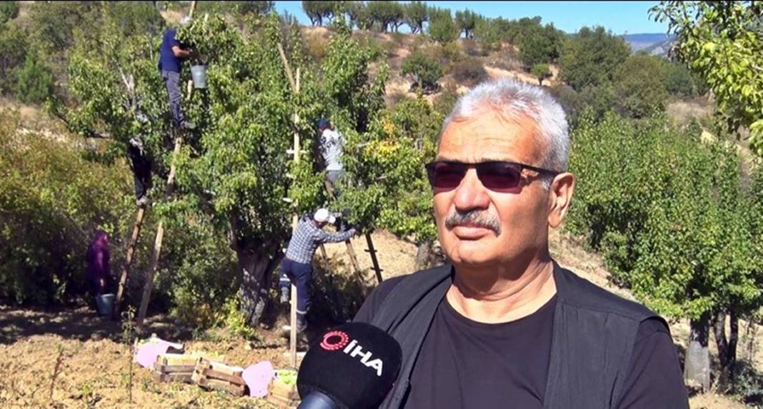 Aylarca depolarda bekletildi: Şimdi tezgahları süsleyecek! Ankara armudunun ilginç yolculuğu şaşırttı 3